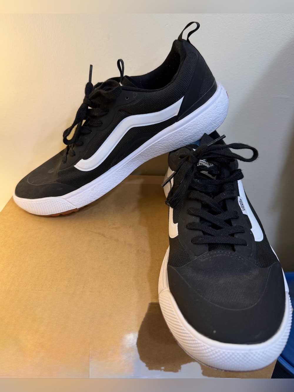 Vans Black and White Low-Top Skate Sneakers